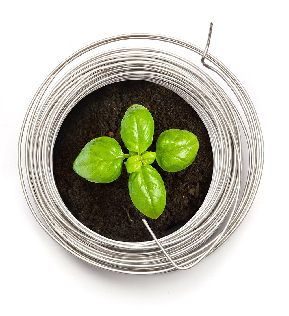 Alloy Wire planting trees for a better tomorrow - Alloy Wire International 11