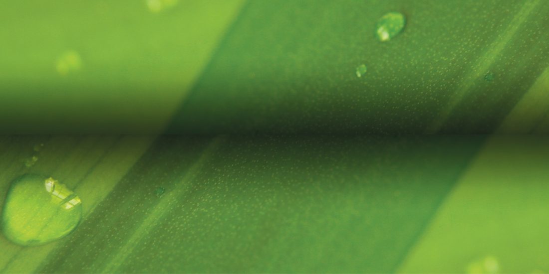 Trust Phynox to deliver in clinical and corrosive settings 1 Trust Phynox to deliver in clinical and corrosive settings - Alloy Wire International 1